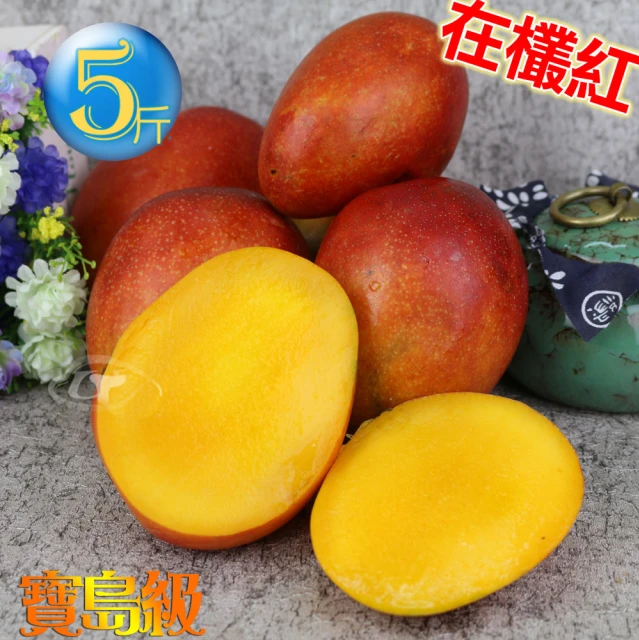 【外銷日本等級】43年老欉愛文芒果禮盒5台斤(9顆)